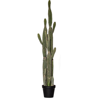 Rogue Saguaro Cactus - Garden Pot Green