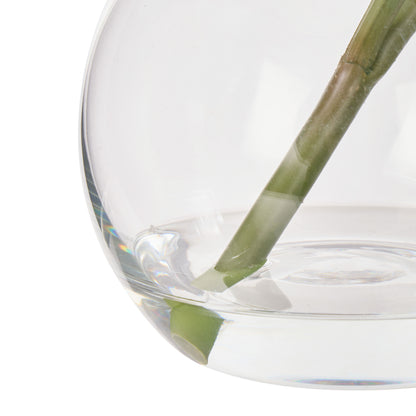 Faux Cymbidium - Glass Vase | Pink -  16cm