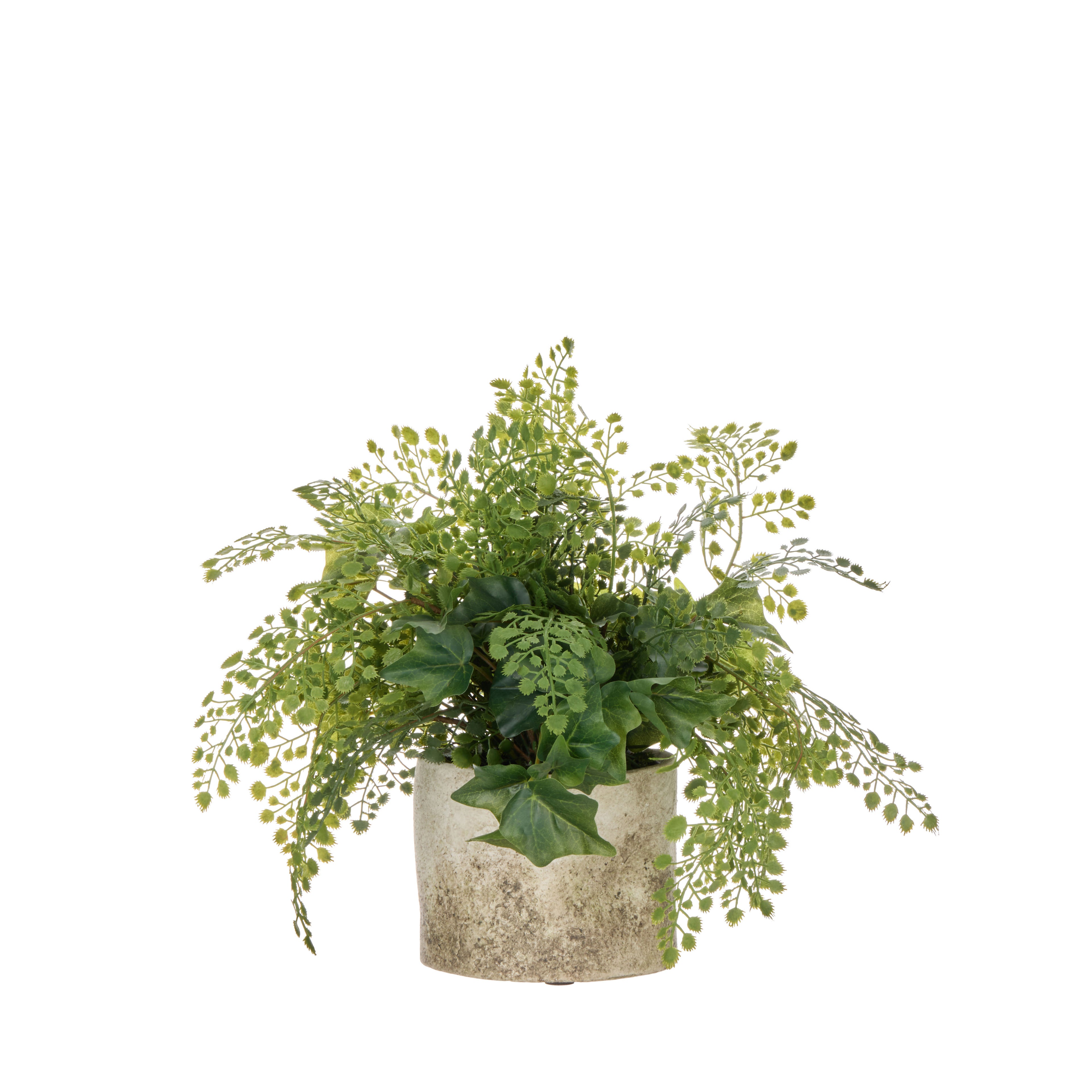 Faux Maiden Ivy - Edith Vase  | Green -  30cm
