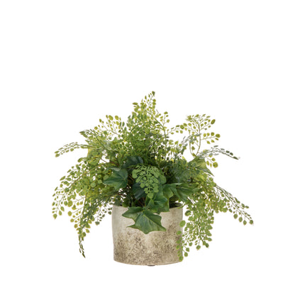 Faux Maiden Ivy - Edith Vase  | Green -  30cm
