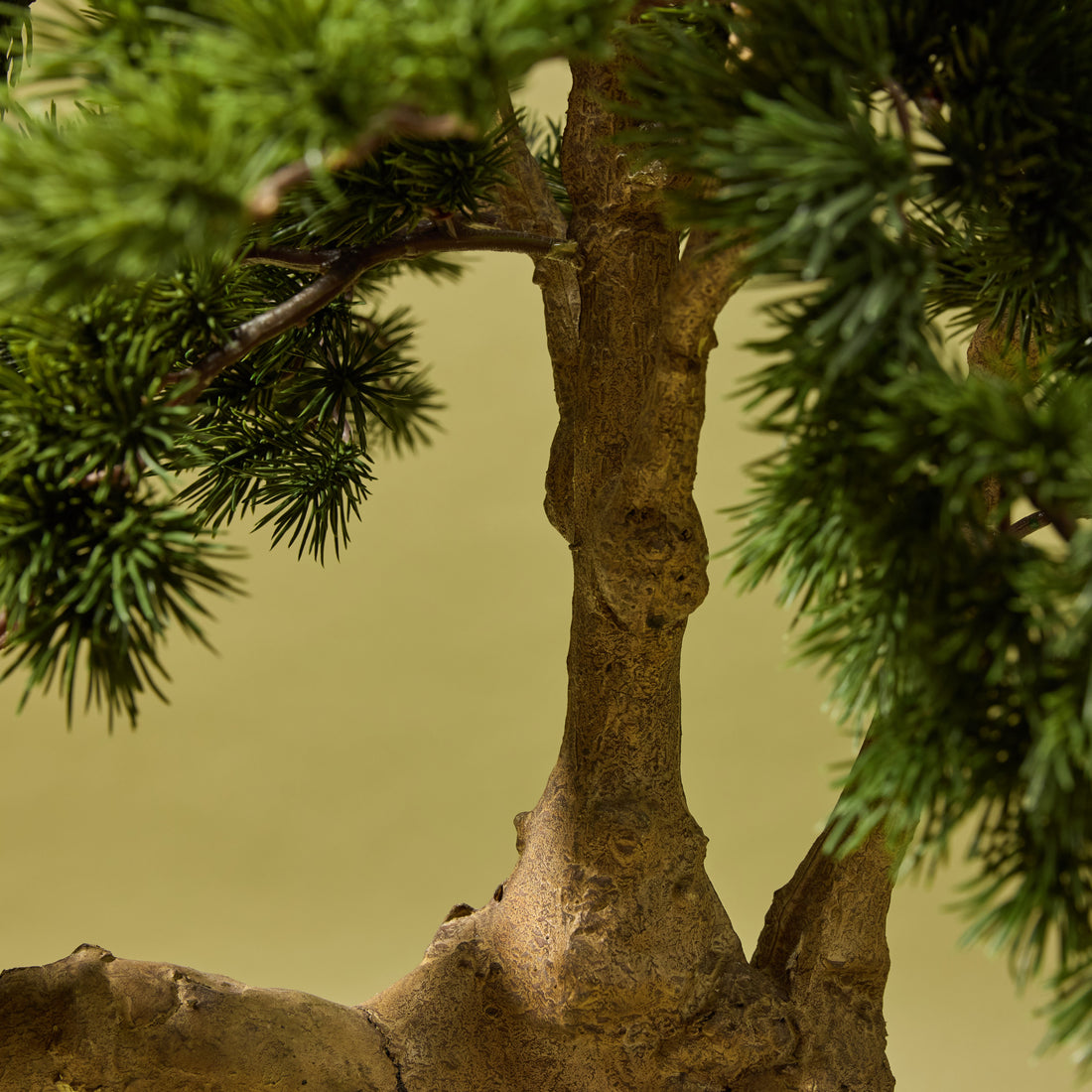 Faux Pine Bonsai Tree - Garden Pot | 100cm