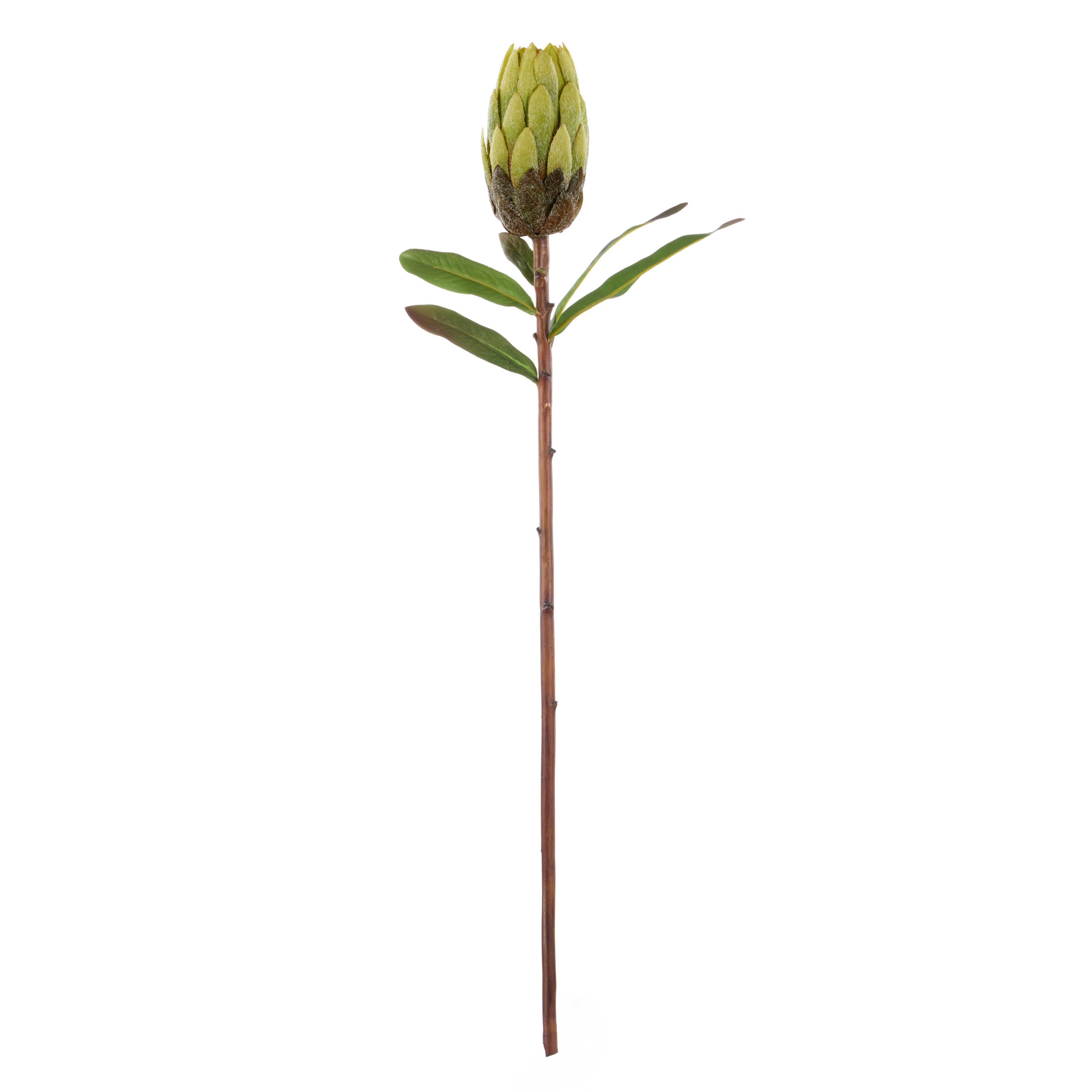 Faux Flocked Protea Stem | Green - 61cm