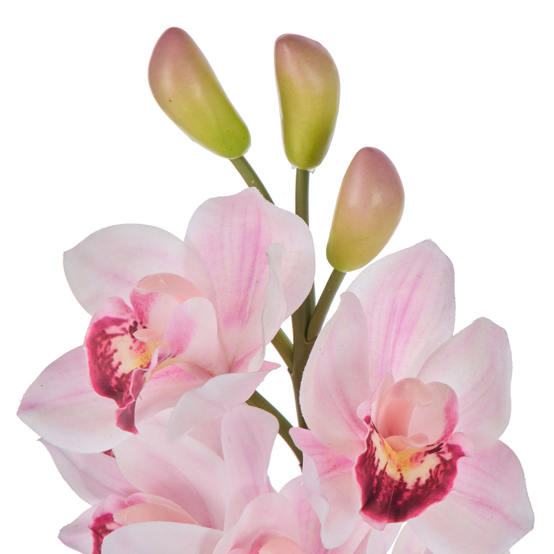 Rogue Cymbidium Spray Pink
