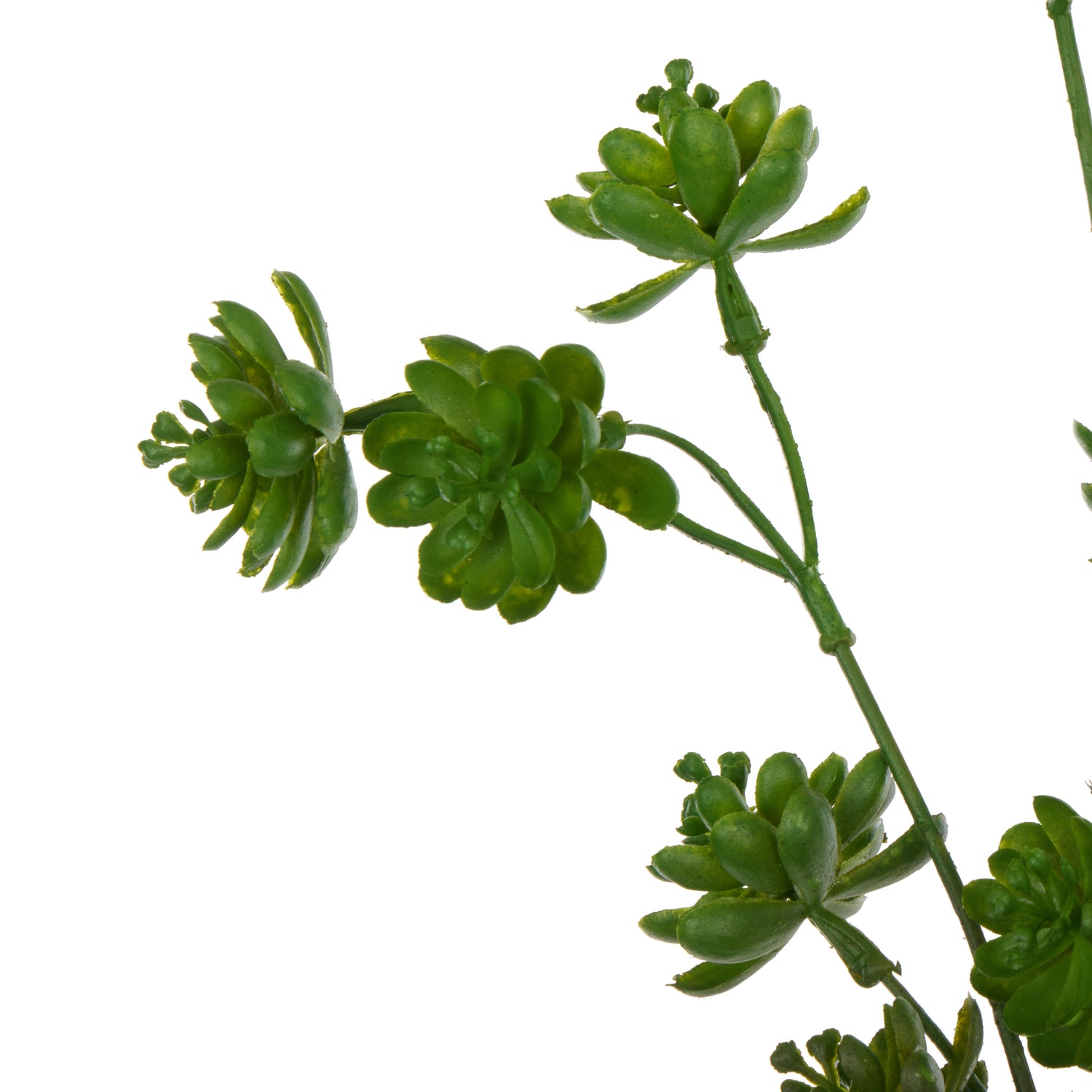 Faux Succulent Spray | Green - 97cm