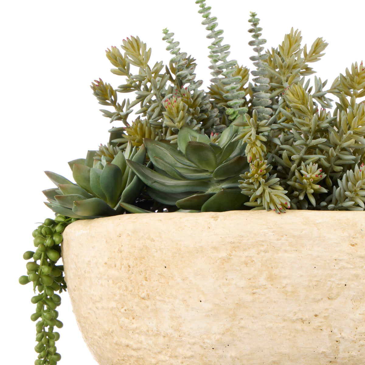Rogue Succulent Garden - Textured Cement Pot Green/Cream