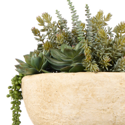 Rogue Succulent Garden - Textured Cement Pot Green/Cream