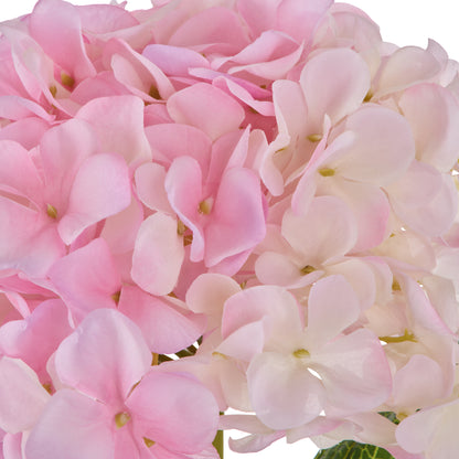 Rogue Hydrangea Stem Pink