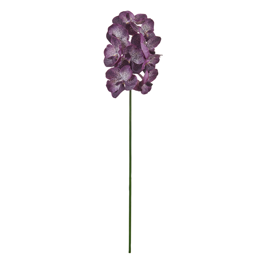 Faux Vanda Orchid | Purple - 66cm