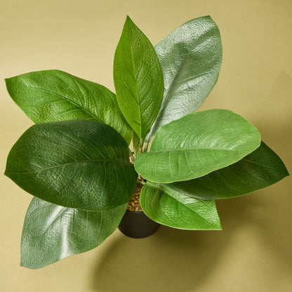 Faux Lush Leaf Plant - Garden Pot | 45cm