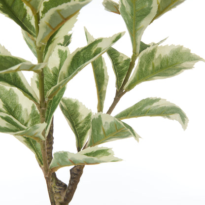 Faux Ficus Variegated Spray | 53cm