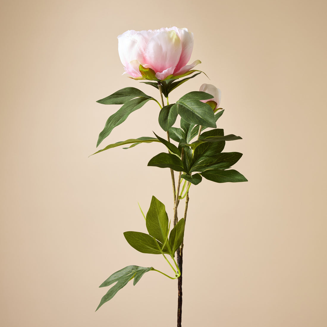 Faux Peony Stem UV Treated | Light Pink - 90cm