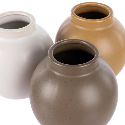 Rogue Caine Vessel 3pcs Assorted