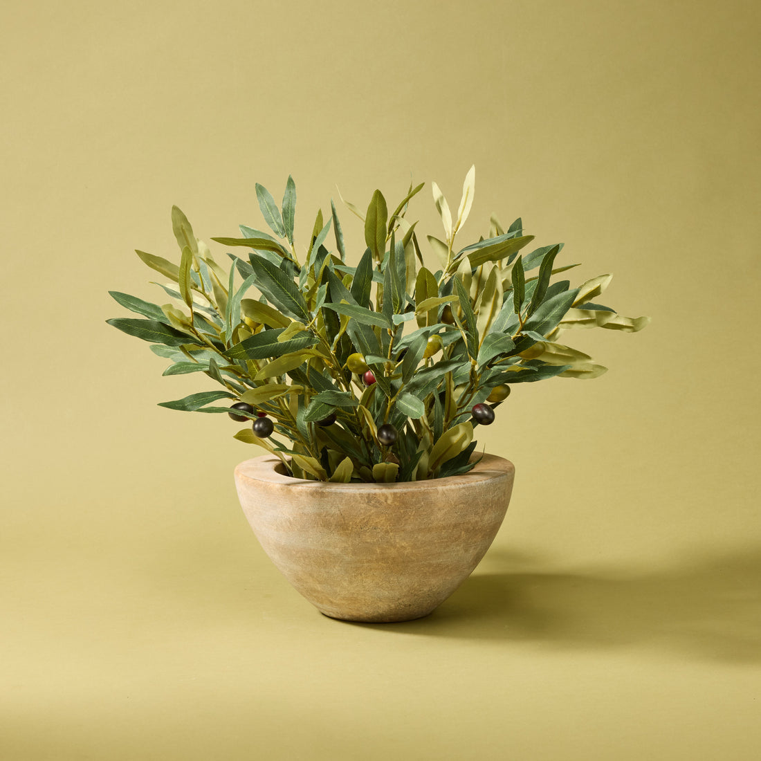 Faux Olive Spray Arrangement - Earthenware Bowl | 47cm