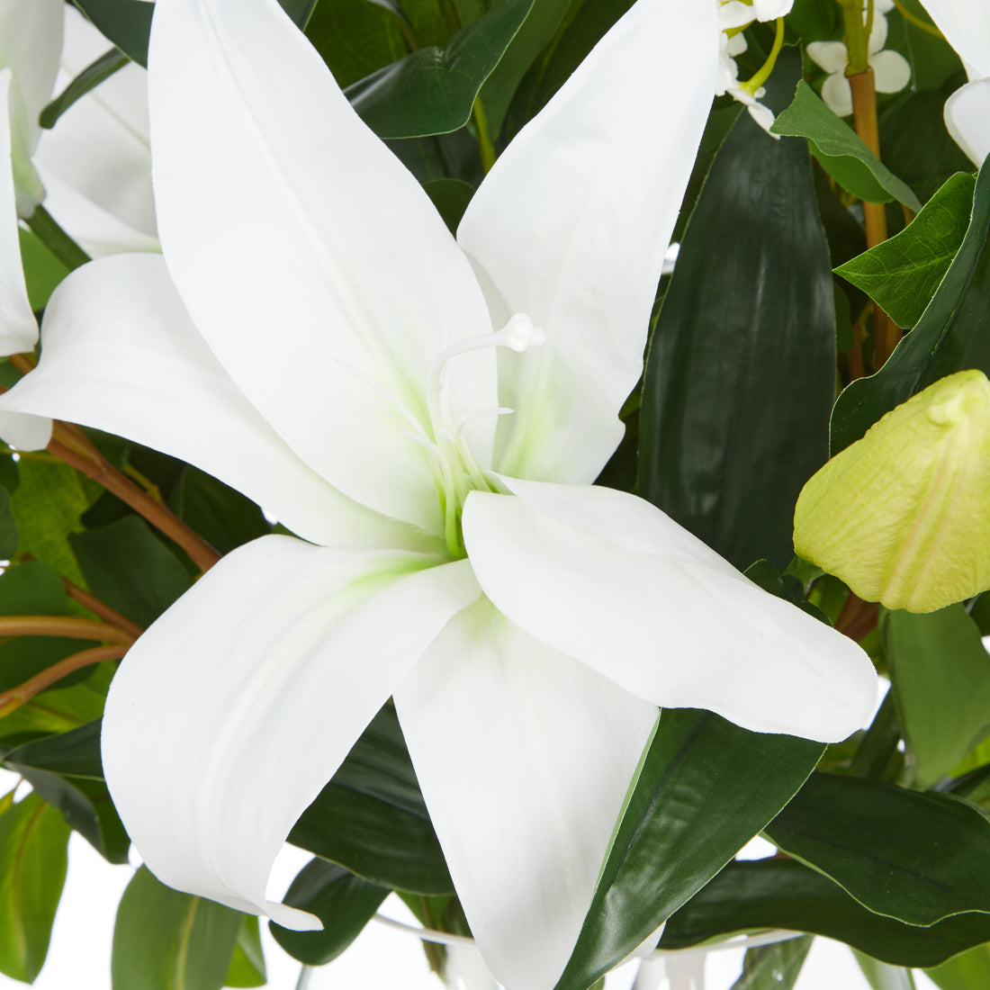 Rogue Casablanca Lily Garden Mix - Nara Vase White