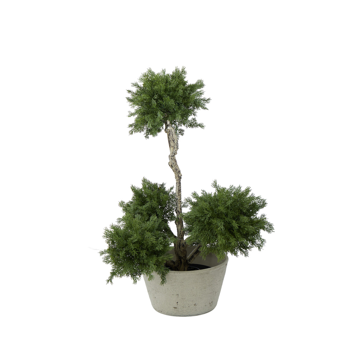 Rogue Rustic Stone Look Shallow Planter Pot Rustic Cream