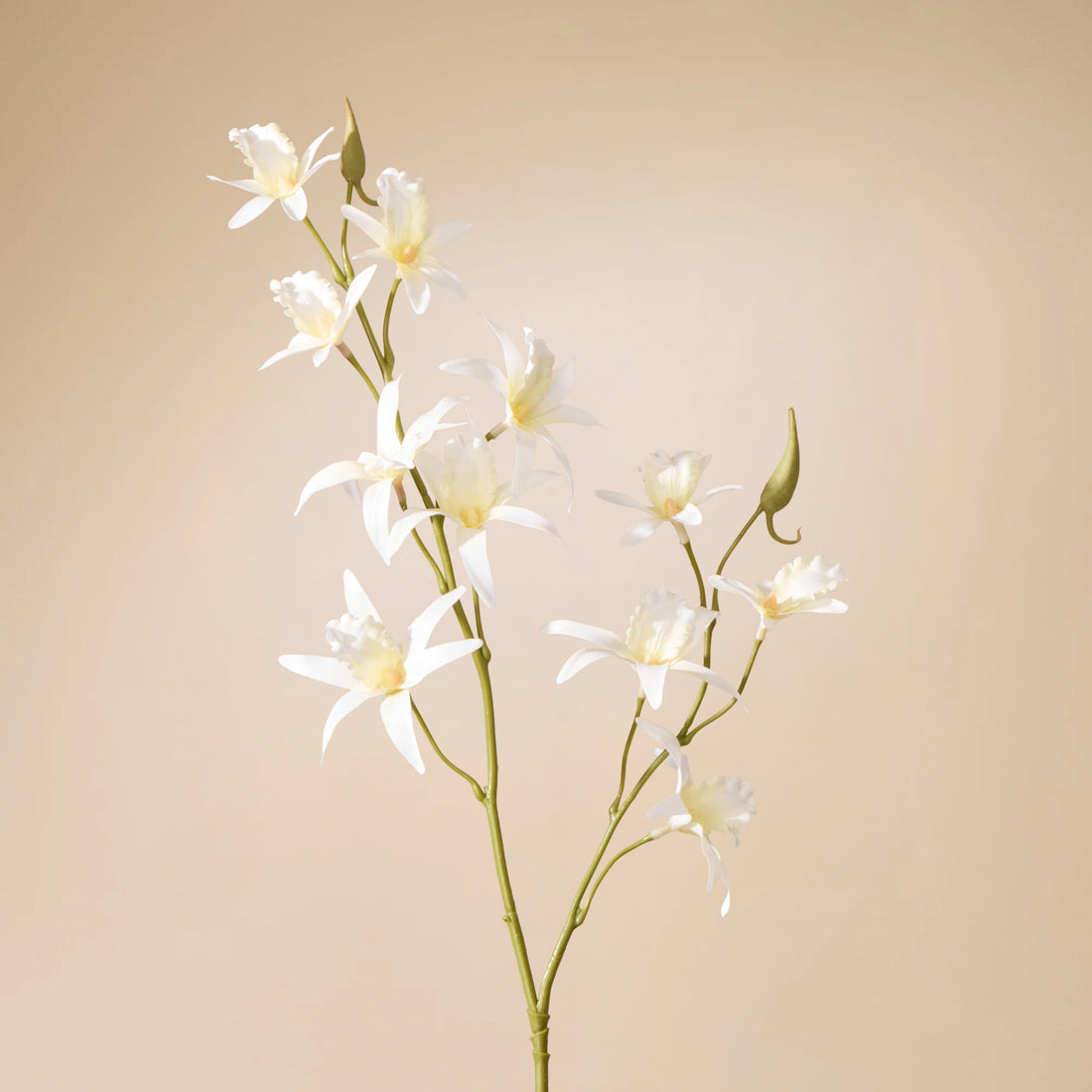 Faux Dendrobium Spray | White - 92cm
