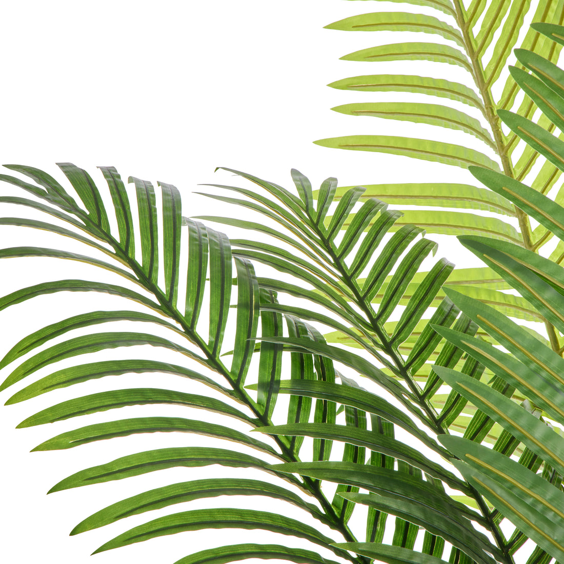 Faux Areca Palm - Cylinder Planter - UV Treated | Green - 189cm
