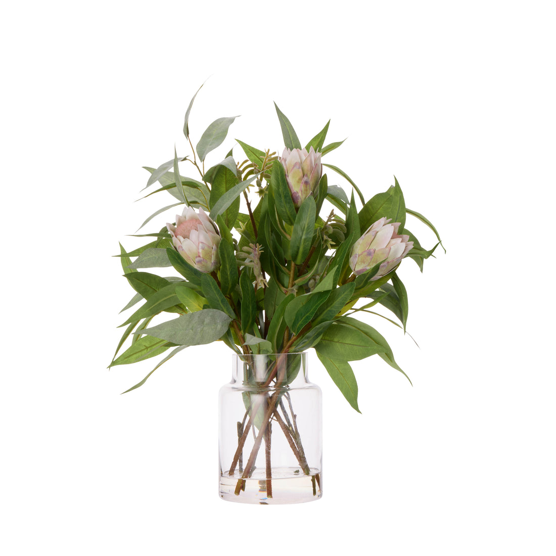 Rogue Pitaya Kangaroo Paw - Pail Vase Cream &amp; Green