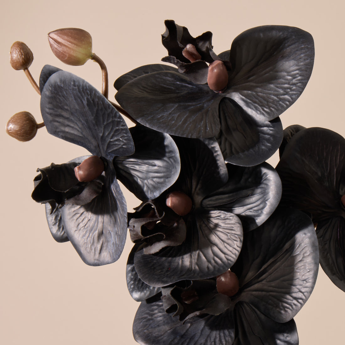 Faux Phalaenopsis Orchid Stem| Black - 56cm