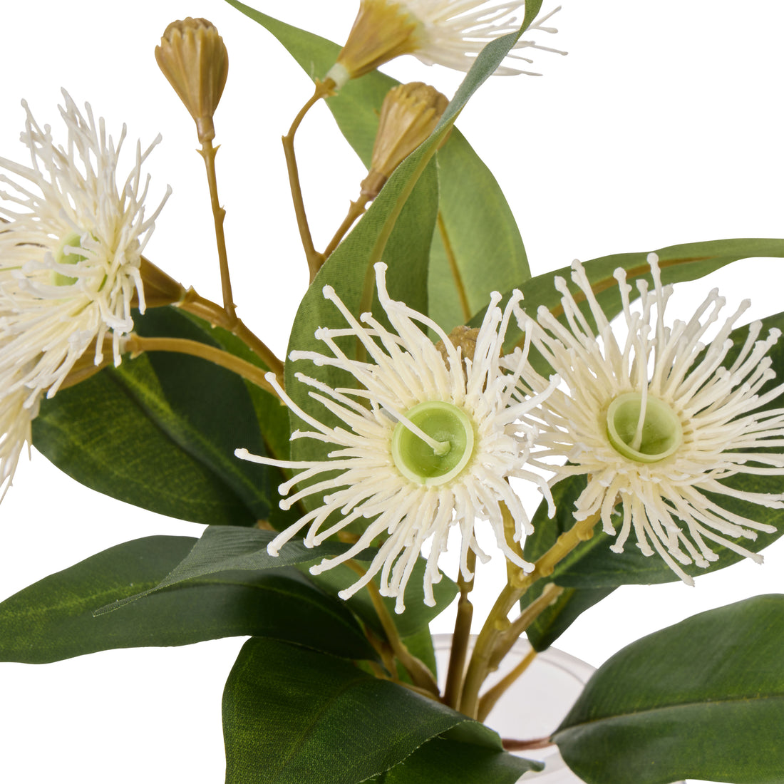 Faux Flowering Eucalyptus - Phoebe Vase | White -  21cm