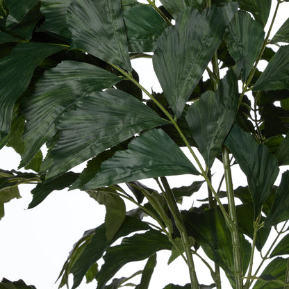 Rogue Caryota Palm Tree - Vienna Planter Green