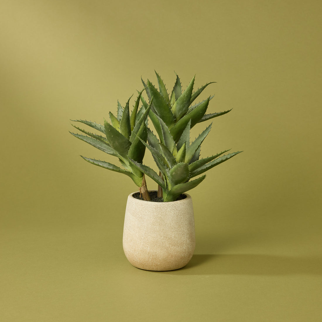 Faux Aloe Plant With 3 Heads - Cream Pot | 33cm