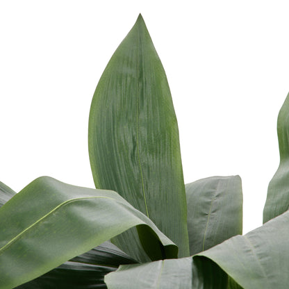 Faux Cast Iron Plant UV Treated  - Oliver Pot | Green  - 98cm