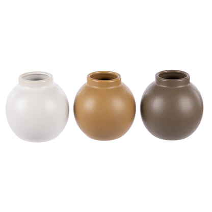 Rogue Caine Vessel 3pcs Assorted