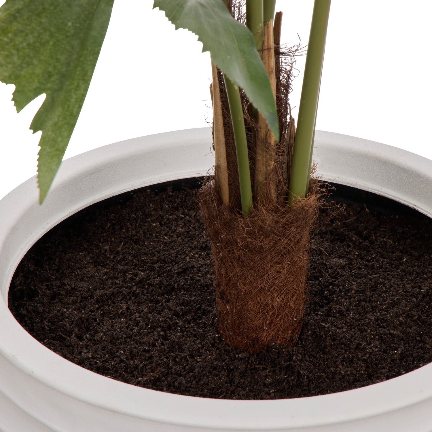 Faux Caryota Palm Tree - Vienna PLanter | Green  - 158cm