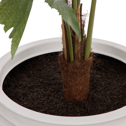 Faux Caryota Palm Tree - Vienna PLanter | Green  - 158cm