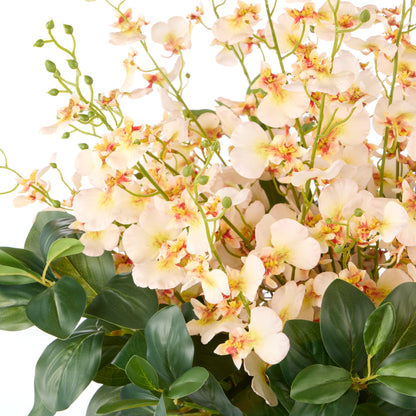Faux Dancing Orchids - Madelyn Bowl | Cream - 58cm