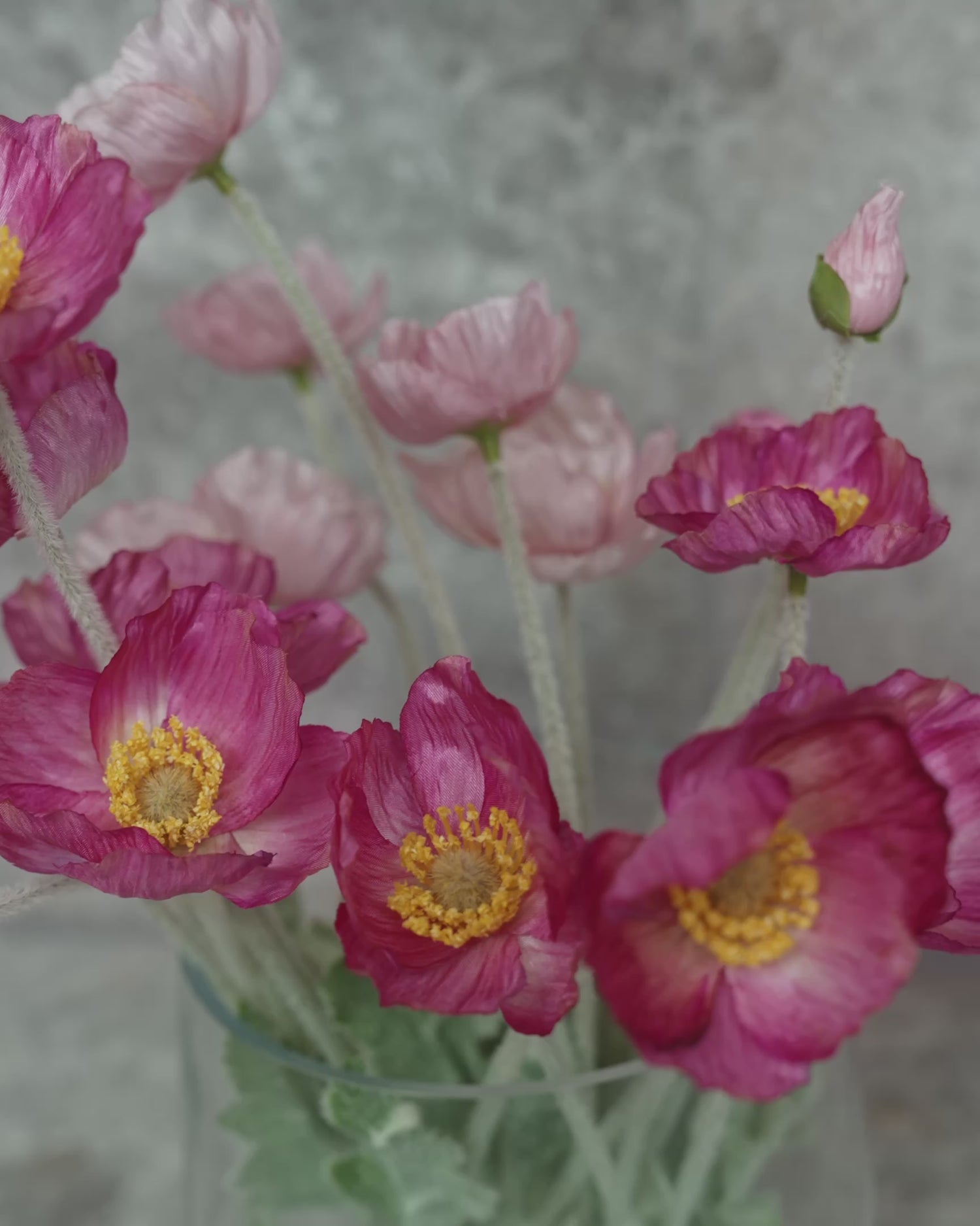 Faux Poppy Spray | Blush Pink - 60cm