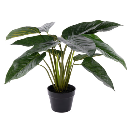 Rogue Philodendron UV - Garden Pot Green