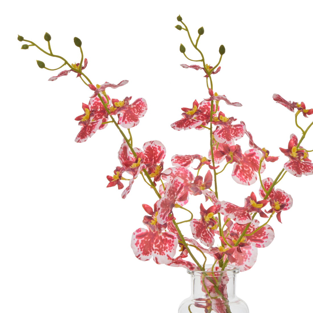 Faux Dancing Orchid - Specimen Bottle | Burgundy -  36cm