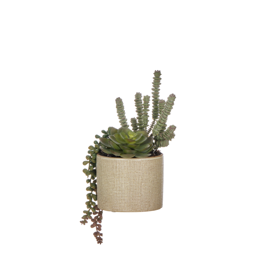 Faux Succulent Garden - Reims Vase | Green -  22cm