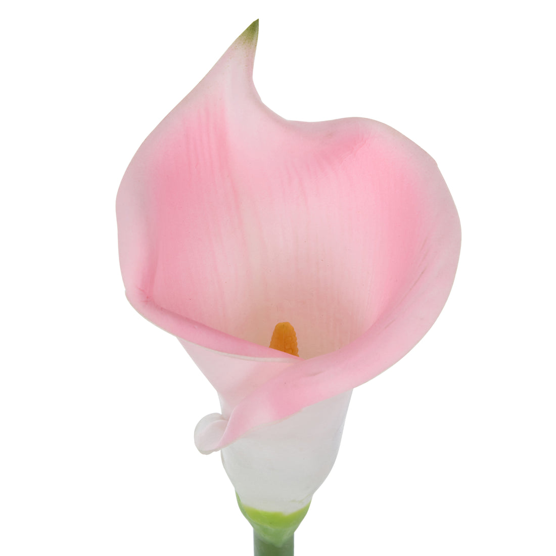 Rogue Calla Lily Stem Pink