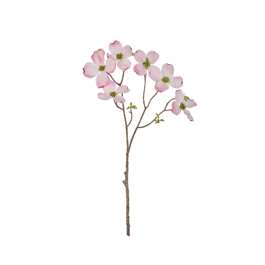 Rogue Dogwood Spray Light Pink