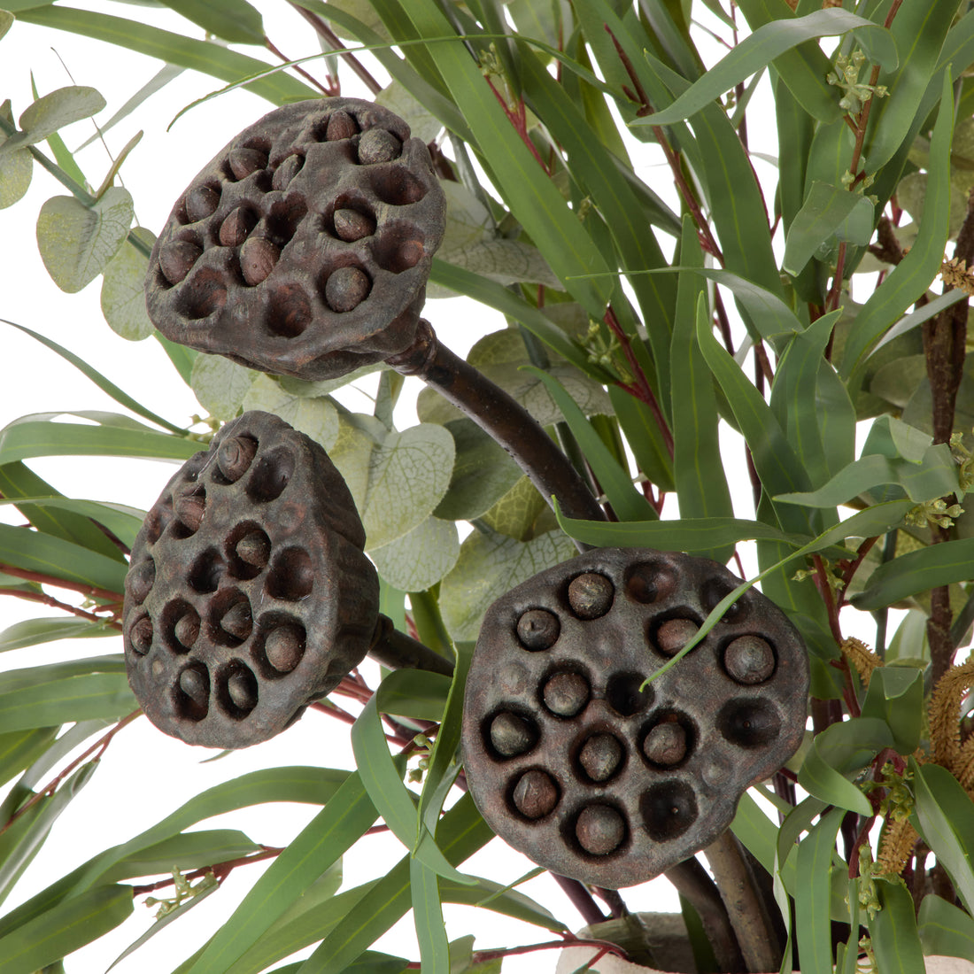 Faux Lotus Pot Catklins Mix - Ryde Vessel | Brown -  96cm