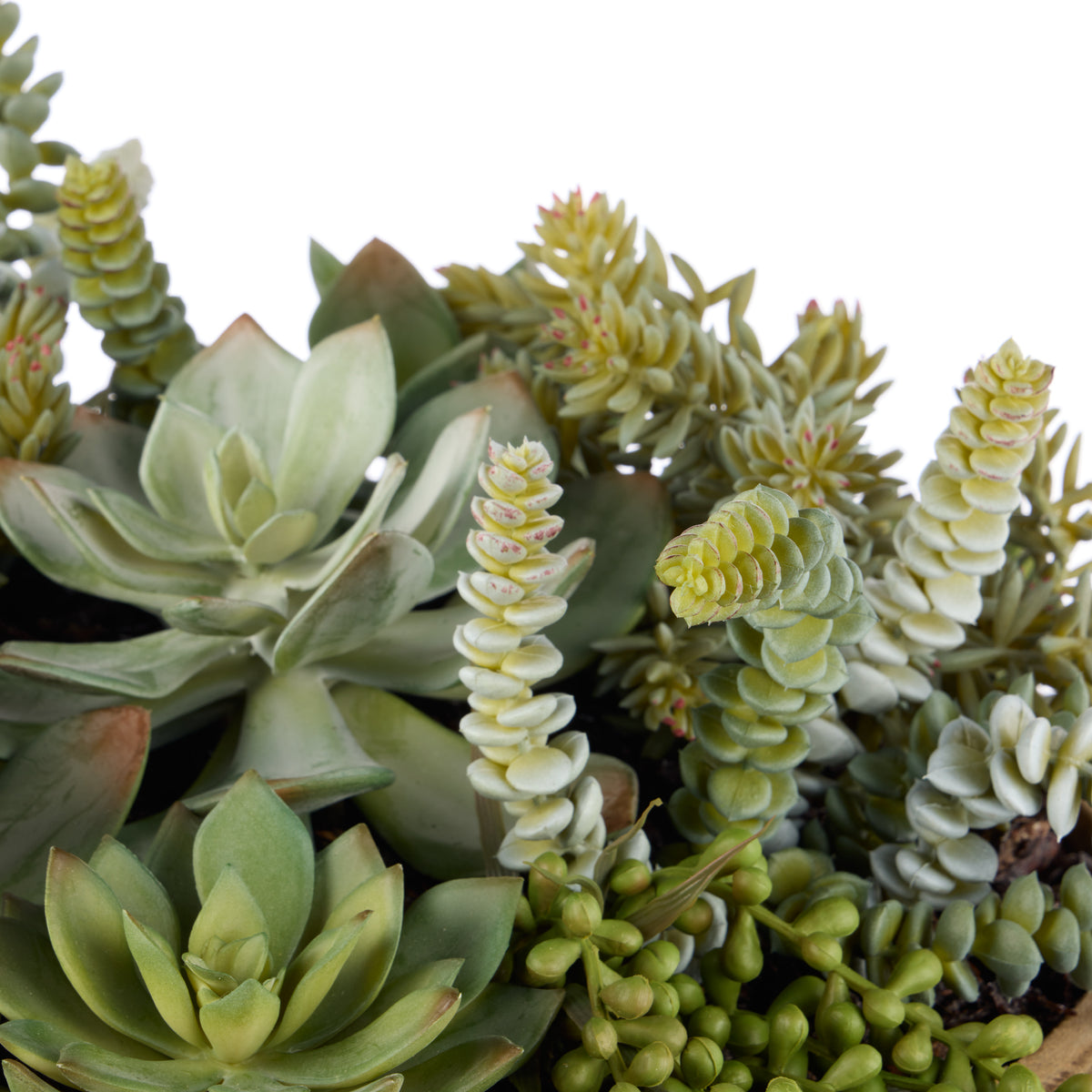 Faux Succulent Garden - Dansk Bowl | 45cm