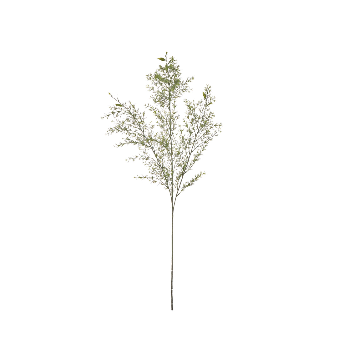 Rogue Tea Leaf Spray Green