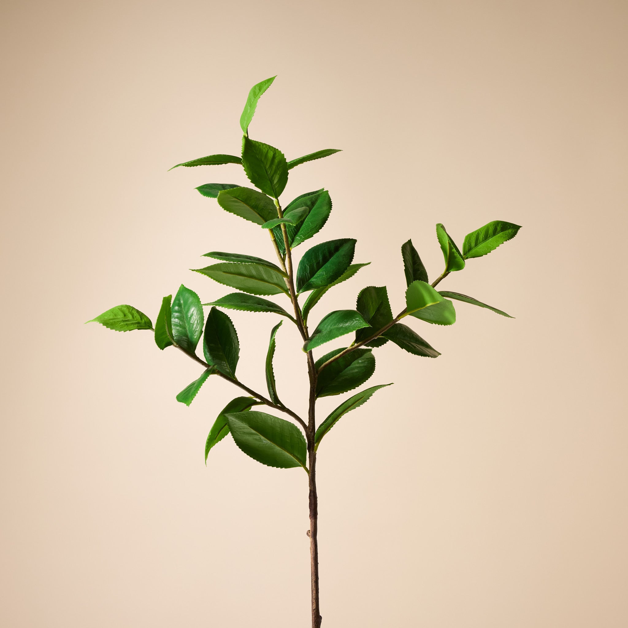 Faux Tea Leaf Spray | 99cm