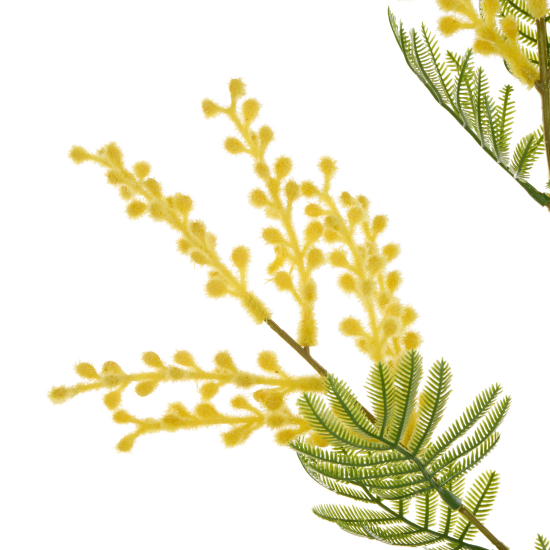 Faux Wattle Spray | Yellow - 85cm
