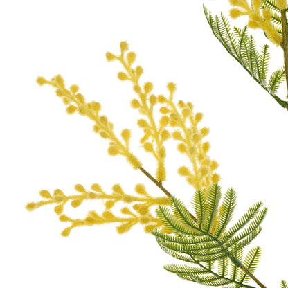 Rogue Wattle Spray Yellow