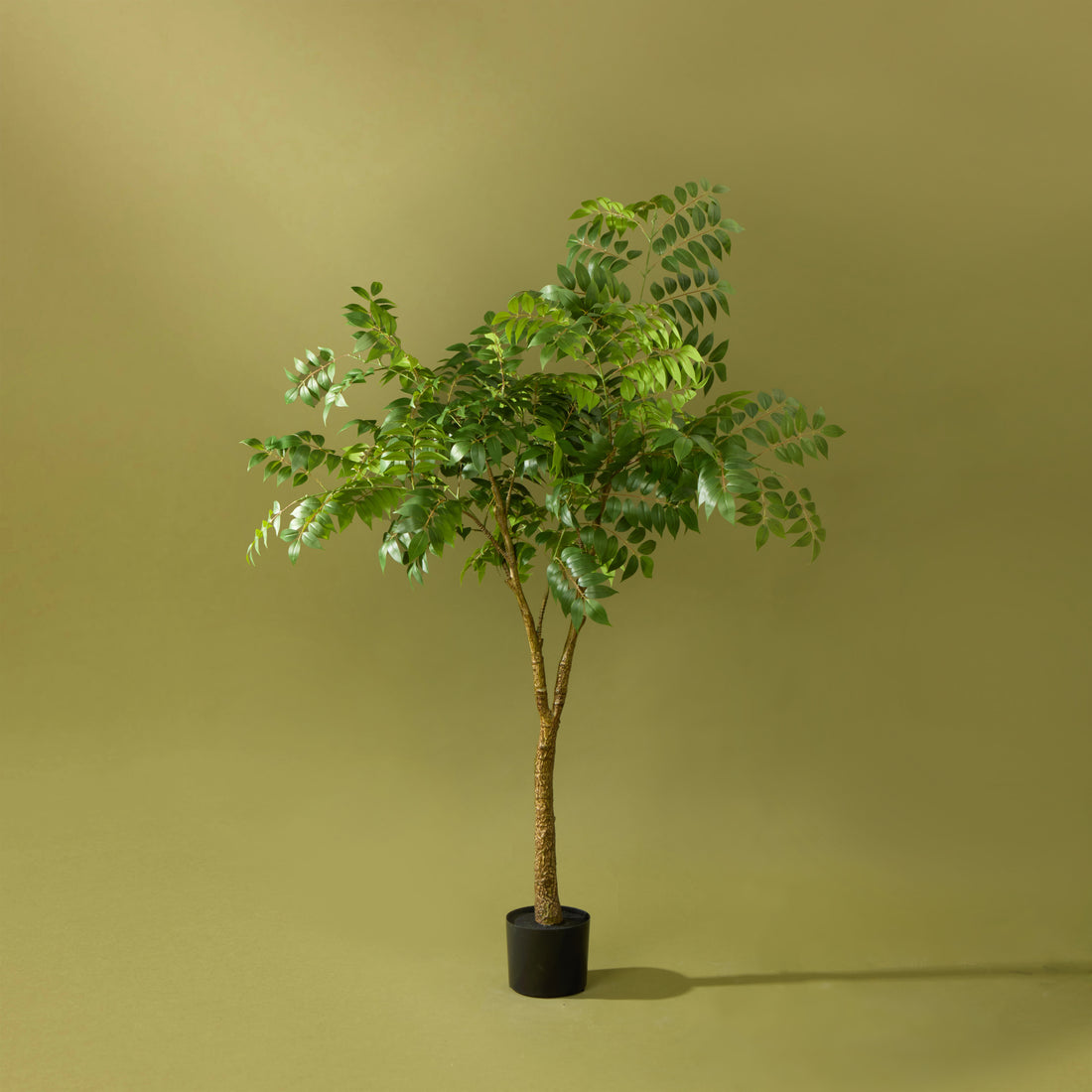 Faux Wisteria Tree - Garden Pot | 168cm