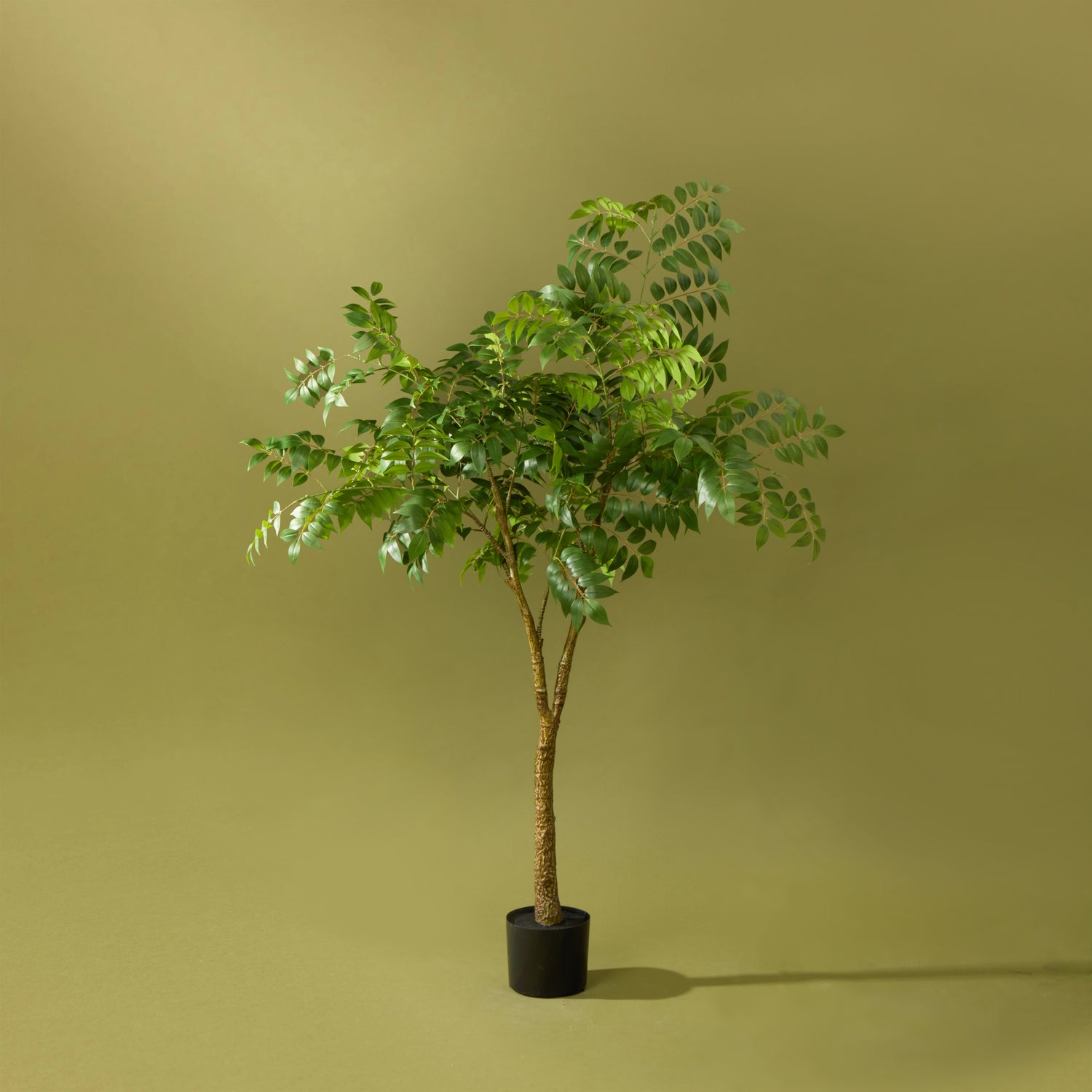 Faux Wisteria Tree - Garden Pot | 168cm