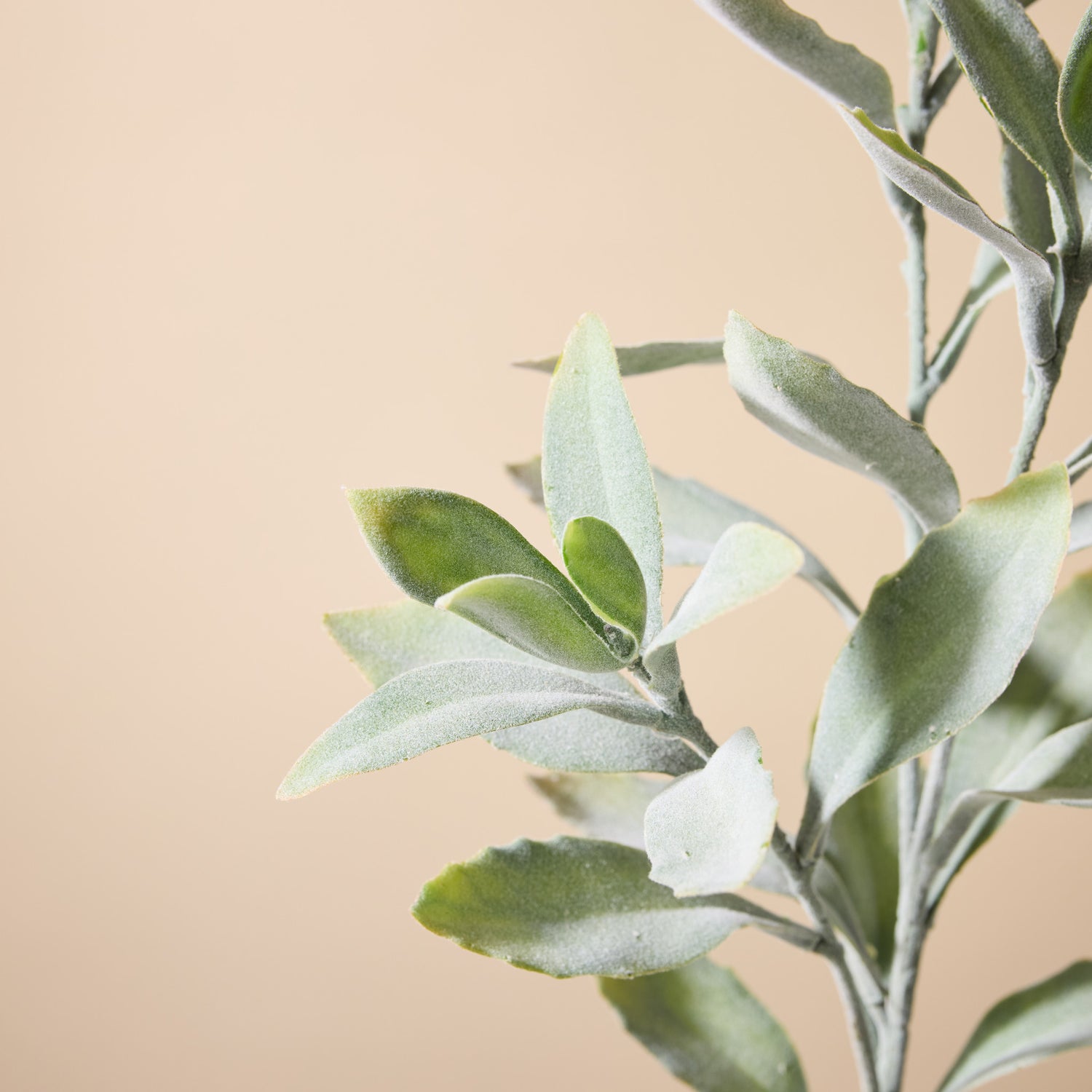 Faux Leucadendron Leaf Stem | Green - 66cm