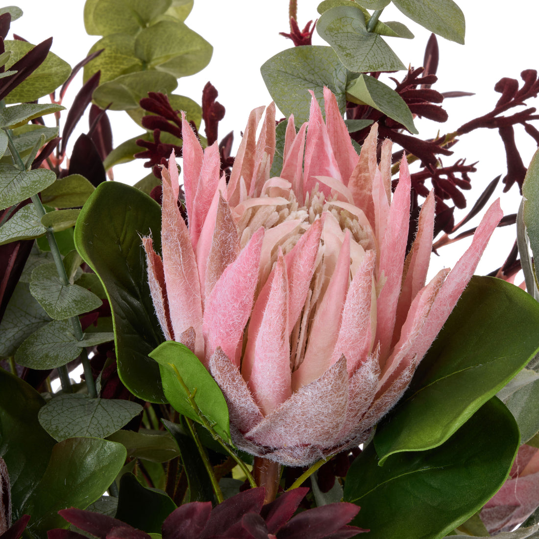 Faux Protea Kangaroo Paw - Maliah Pot| Pink -  75cm