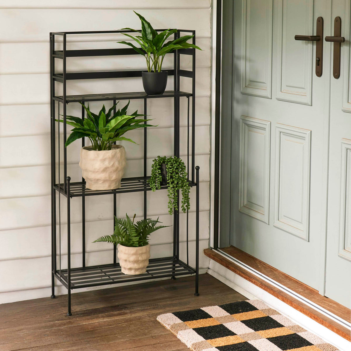 Rogue Sacred Lily Pot Green