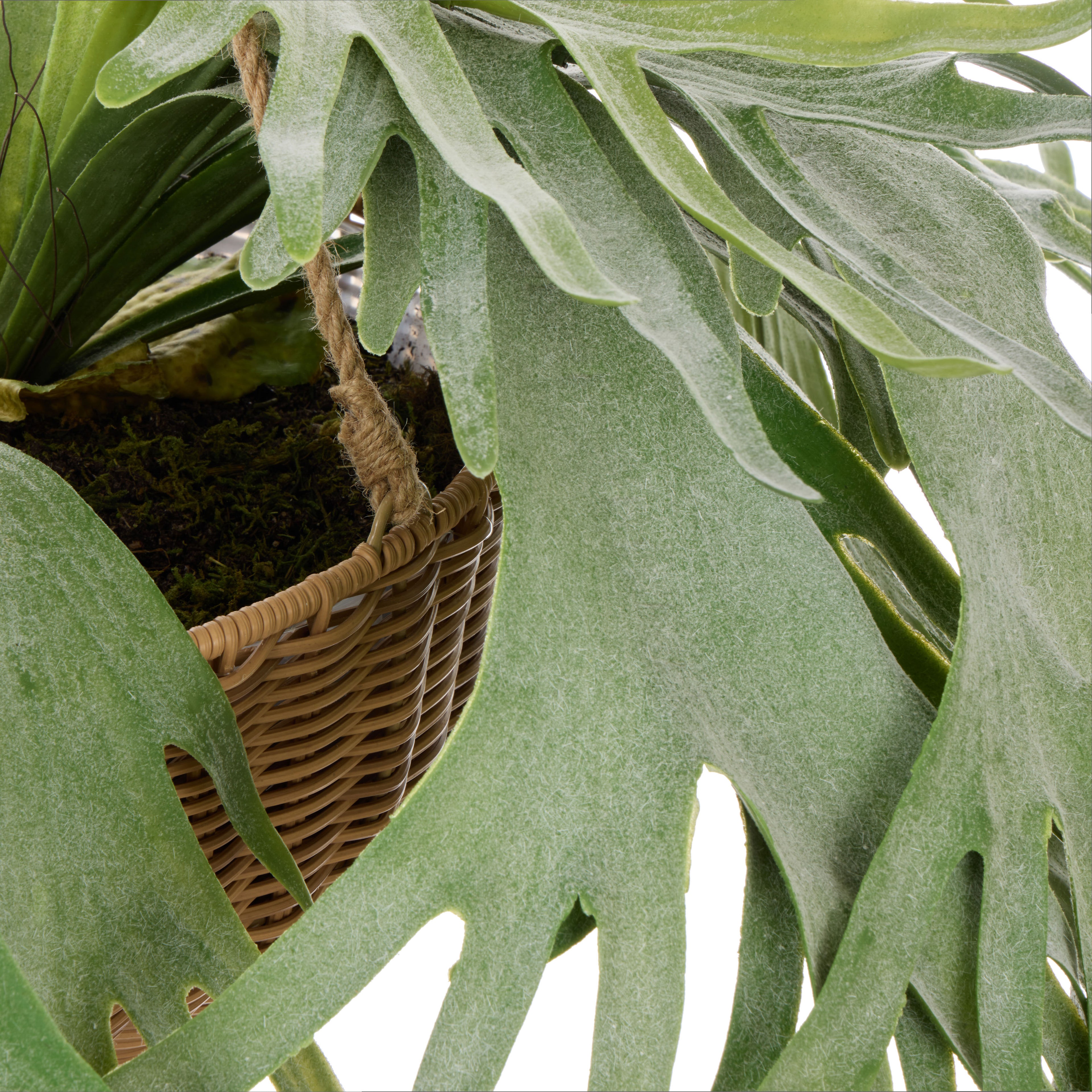 Faux Staghorn - Laos Hanging | Green -  100cm