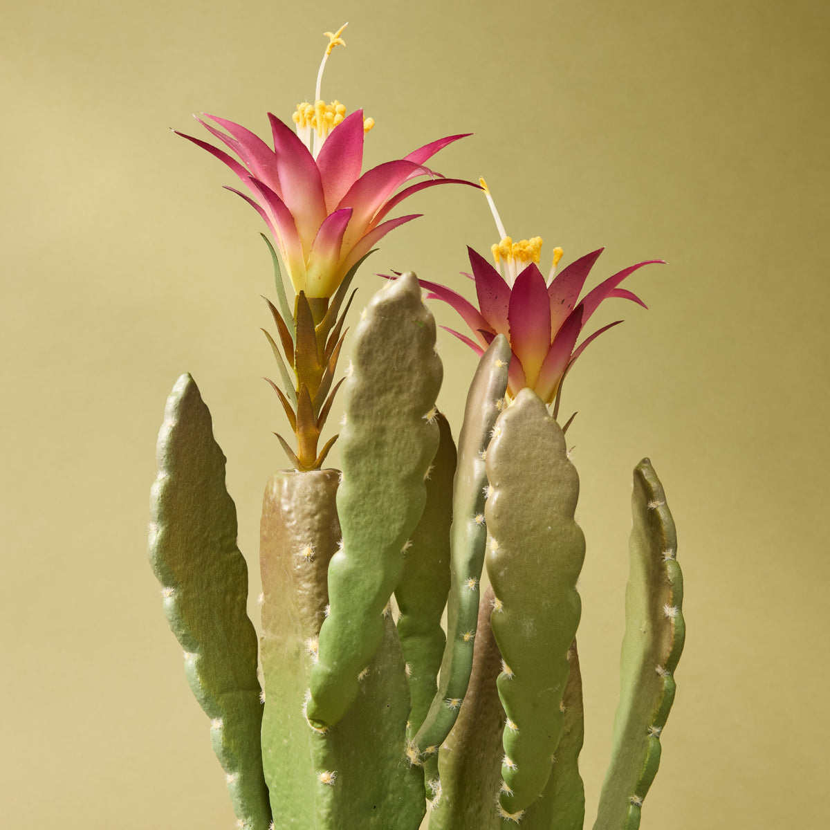 Faux Flowering Cactus - Garden Pot | 47cm